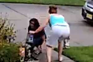 SEEN THEM? Egg Harbor Township Police Seek Women Who Stole Child's Fairy Houses