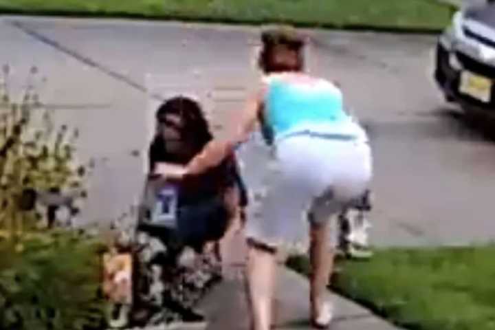 SEEN THEM? Egg Harbor Township Police Seek Women Who Stole Child's Fairy Houses