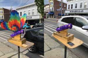 Disorderly, Intoxicated Ulster County Man Destroys Outdoor Artwork