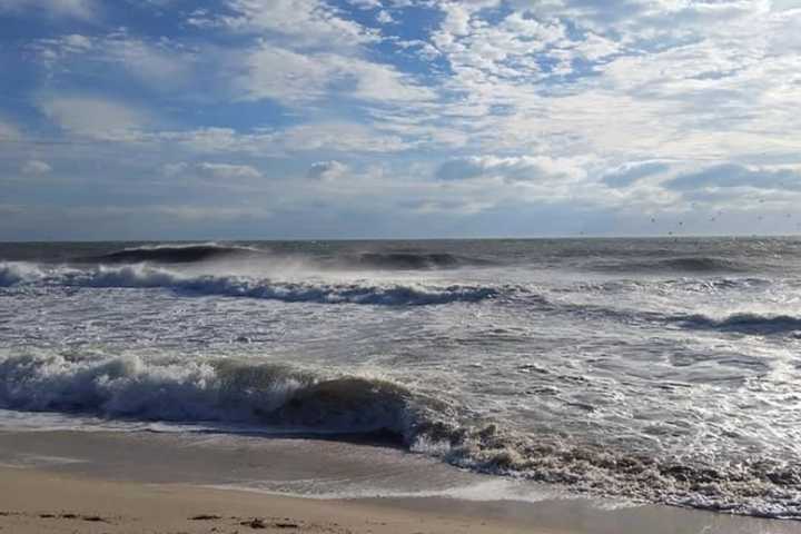 Swimming Advisories Effected At 3 NJ Beaches Where High Bacteria Levels Found