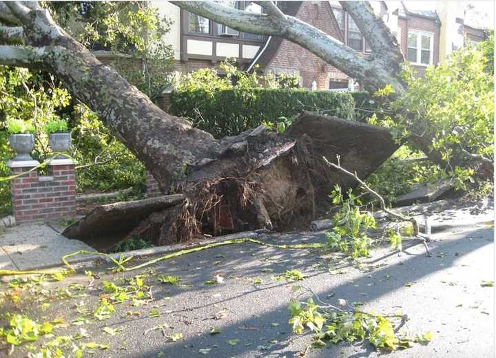 Tornado touchdowns were confirmed in both the Hudson Valley and Connecticut during severe storm activity in the region on Thursday, Aug. 27.