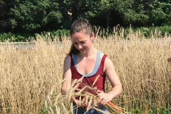 Couple Who Meet At Culinary Institute Open Eatery With Wheat From Dutchess