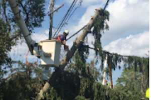 Eversource Removing Storm-Damaged Trees Across Connecticut