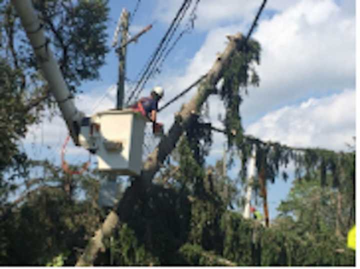 Eversource removes problematic trees along state and local roads every day.