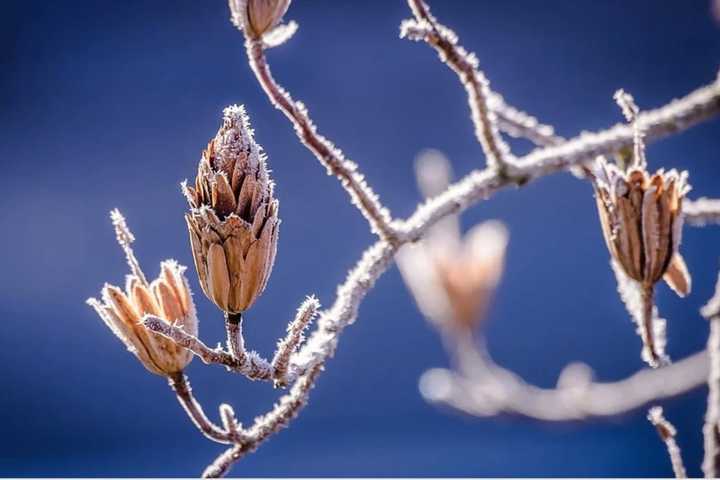 Start Of Fall Will Be Followed By Change In Weather Pattern: Here's Five-Day Forecast