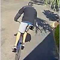 <p>The yet-unidentified thief escaping on his stolen bicycle.</p>