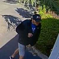 <p>Surveillance footage of the wanted bike thief.</p>