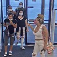 <p>Surveillance footage of the wanted women</p>