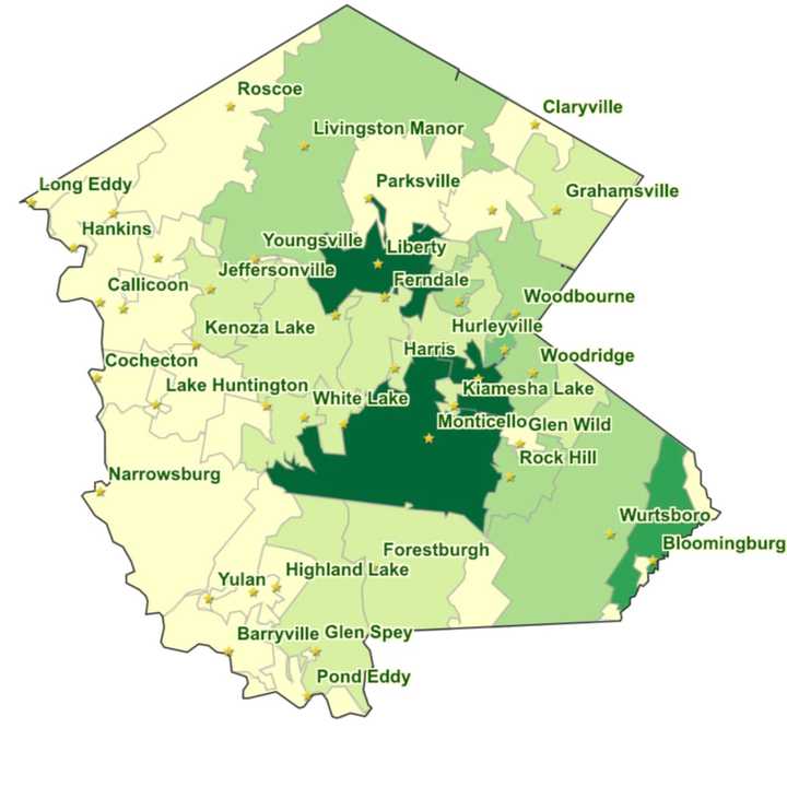 The breakdown of COVID-19 cases in Sullivan County (darker areas represent more cases) on Monday, Nov. 9.