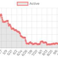 <p>The breakdown of active COVID-19 cases in Ulster County on Friday, Nov. 13.</p>