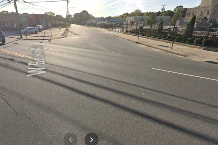 Loose Dogs Bite Two Women At Busy Long Island Intersection