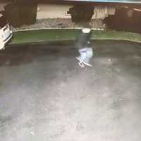 WATCH: Surveillance Tapes Capture Collegeville Vehicle Break-Ins