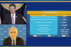 COVID-19: Fauci Praises Cuomo, New York's Response To Pandemic