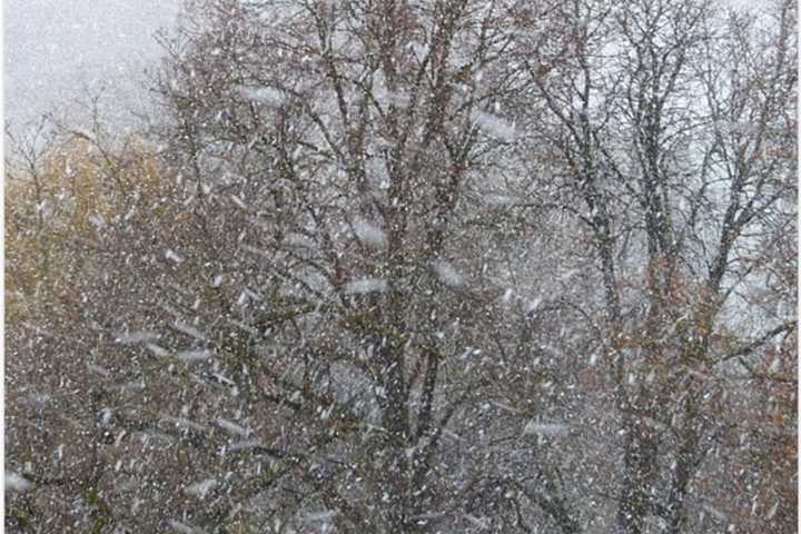 First Snowfall Of Season Falls In NY - Here's Where