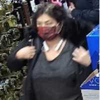 <p>A surveillance image of one of the wanted woman</p>