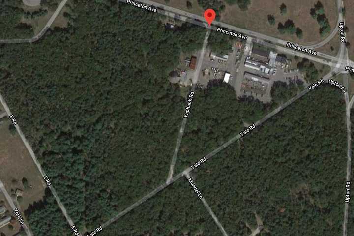 Two People Injured In Single-Vehicle Crash Into Wooded Area On Long Island