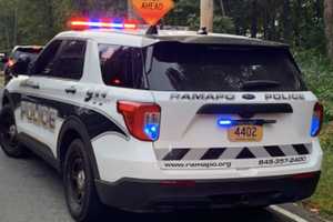 Road Rage: Woman Beats Man's Car With Metal Bat In Ramapo, Police Say