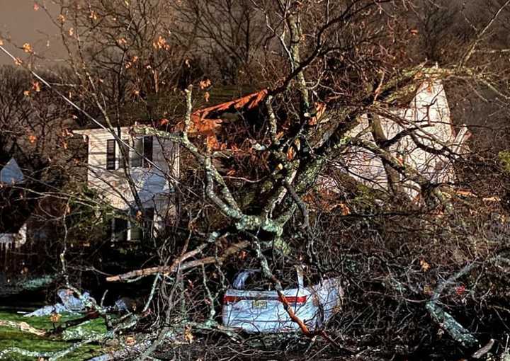 A tree fell into a Glen Rock home early Christmas morning.