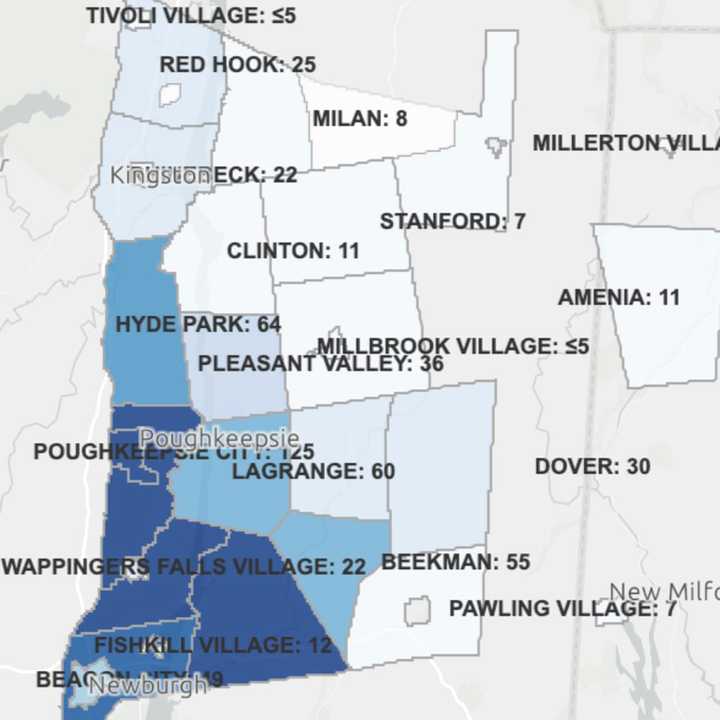 The breakdown of active COVID-19 cases in Dutchess County on Friday, Jan 8.