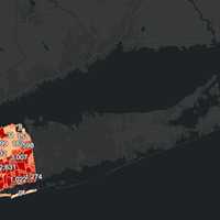 <p>The breakdown of COVID-19 cases in Nassau County on Tuesday, Jan. 12.</p>