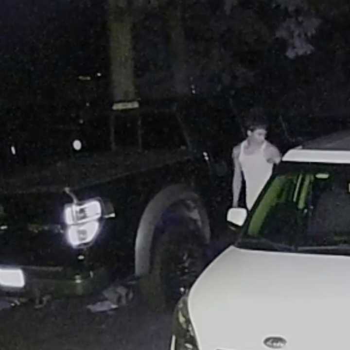 A man is wanted after stealing a parked car in Bohemia last year.