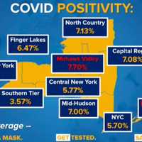 <p>The COVID-19 positivity rate across New York&#x27;s 10 regions.</p>