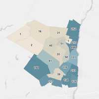 <p>The breakdown of COVID-19 cases in Ulster County on Monday, Jan. 25.</p>