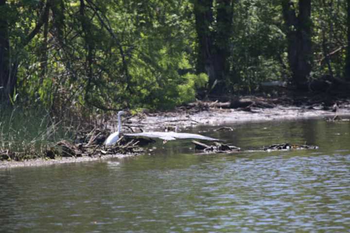 Body Found In Ice-Covered CT Pond