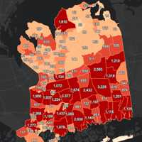 <p>The breakdown of COVID-19 cases in Nassau County on Monday, Feb. 1.</p>