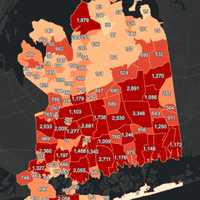 <p>The Nassau County COVID-19 breakdown on Thursday, Feb. 4.</p>