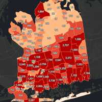 <p>The Nassau County COVID-19 breakdown on Friday, Feb. 5.</p>