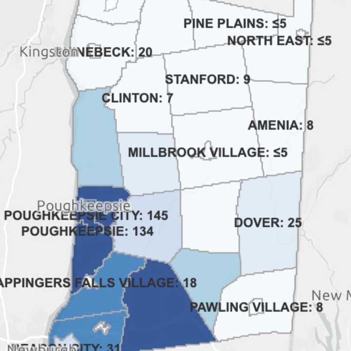 The breakdown of COVID-19 cases in Dutchess County on Tuesday, Feb. 9.