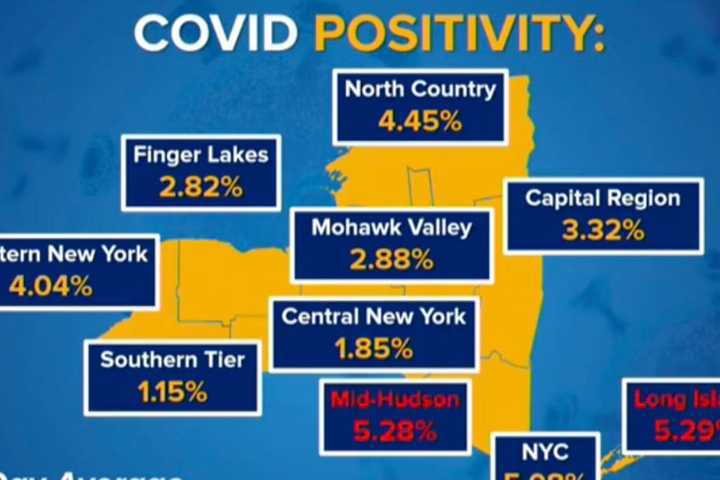 COVID-19: Hudson Valley Among Highest Positivity Rate In NY; New Breakdown Of Cases By County