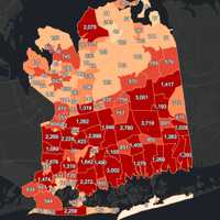 <p>The Nassau County COVID-19 map on Thursday, Feb. 18.</p>