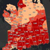 <p>The Nassau County COVID-19 map</p>