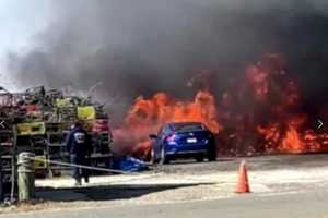 VIDEO: Wind-Whipped Brush Fire Breaks Out At Jersey Shore Seafood Cooperative