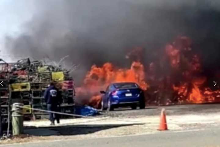 VIDEO: Wind-Whipped Brush Fire Breaks Out At Jersey Shore Seafood Cooperative