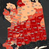 <p>The Nassau County COVID-19 map on Thursday, March 11.</p>