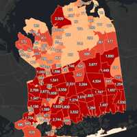 <p>Nassau County COVID-19 map on Wednesday, March 17.</p>