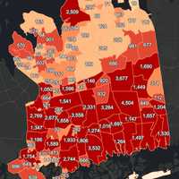 <p>The Nassau County COVID-19 map on Friday, March 19.</p>