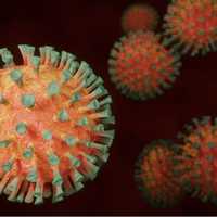 <p>CDC Director Rochelle Walensky is warning of a new surge in cases.</p>