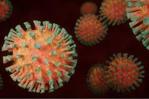 COVID-19: First Case Of Highly Contagious Brazil Strain Confirmed In NY