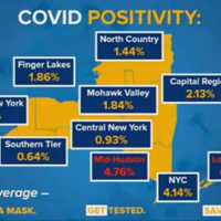 <p>The breakdown of positive infection rate across New York State</p>