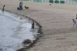 NO DOGS: 'Best Friend' Banned At Jersey Shore Beaches