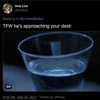 <p>Ana Liss responded to Lindsey Boylan&#x27;s tweet.</p>