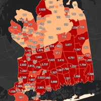 <p>The Nassau County COVID-19 map on Wednesday, March 31.</p>