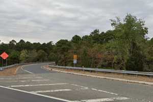 7 Dead Puppies Dropped On Side Of South Jersey Highway