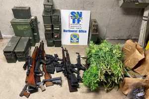 Guns, Ammo, 100 Marijuana Plants Seized In Bust At CT Grow House, Police Say