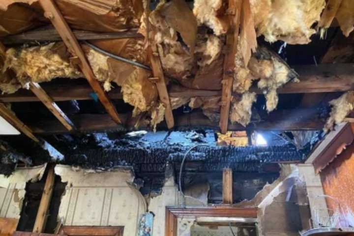 8 Pets Rescued, 2 Cats Killed In Central Jersey House Fire; 3 People Hurt