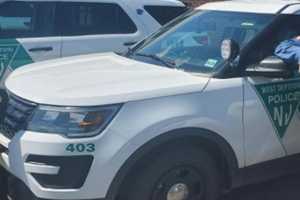 Patrol Car, K-9 Stolen In Gloucester County Prompts 'Shelter-In-Place': Police